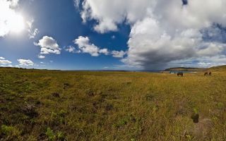 Hanga Hahave with Horses