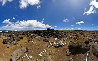 Arriving at Baja Point