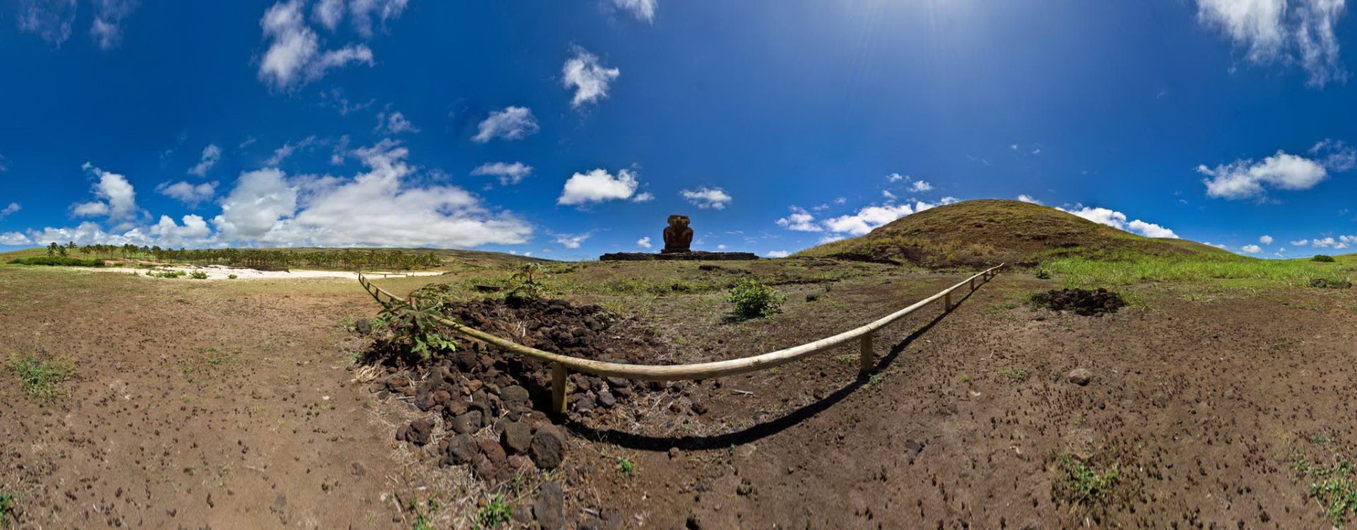 Anakena Beach : Moai Alone