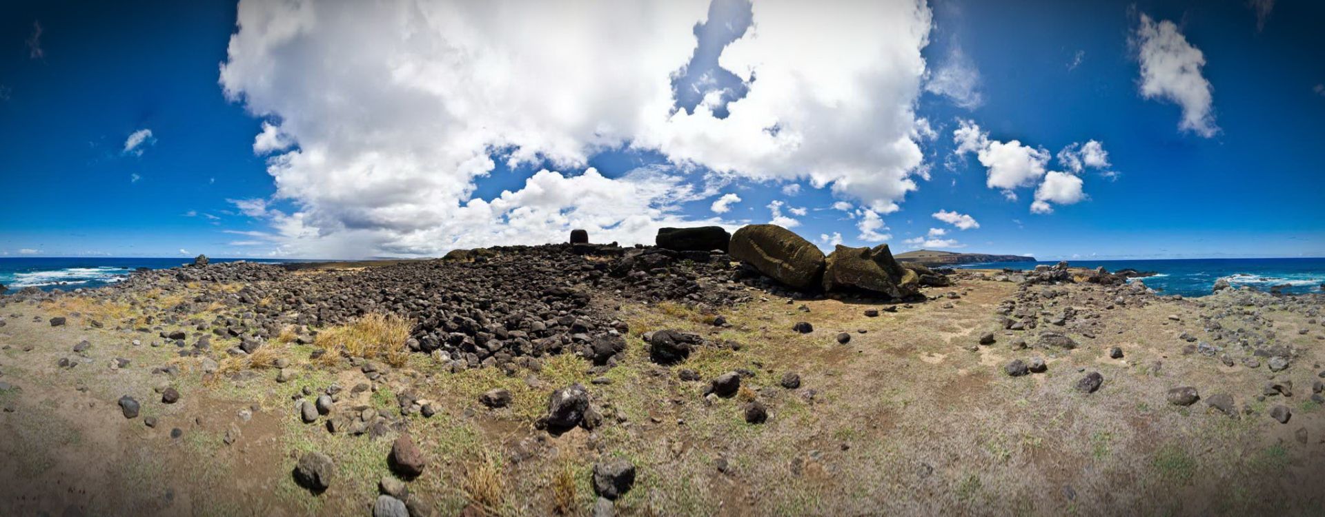 One Makihi (Seen from Back)