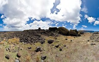 One Makihi (Seen from Back)