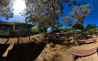 Welcome To Rano Raraku