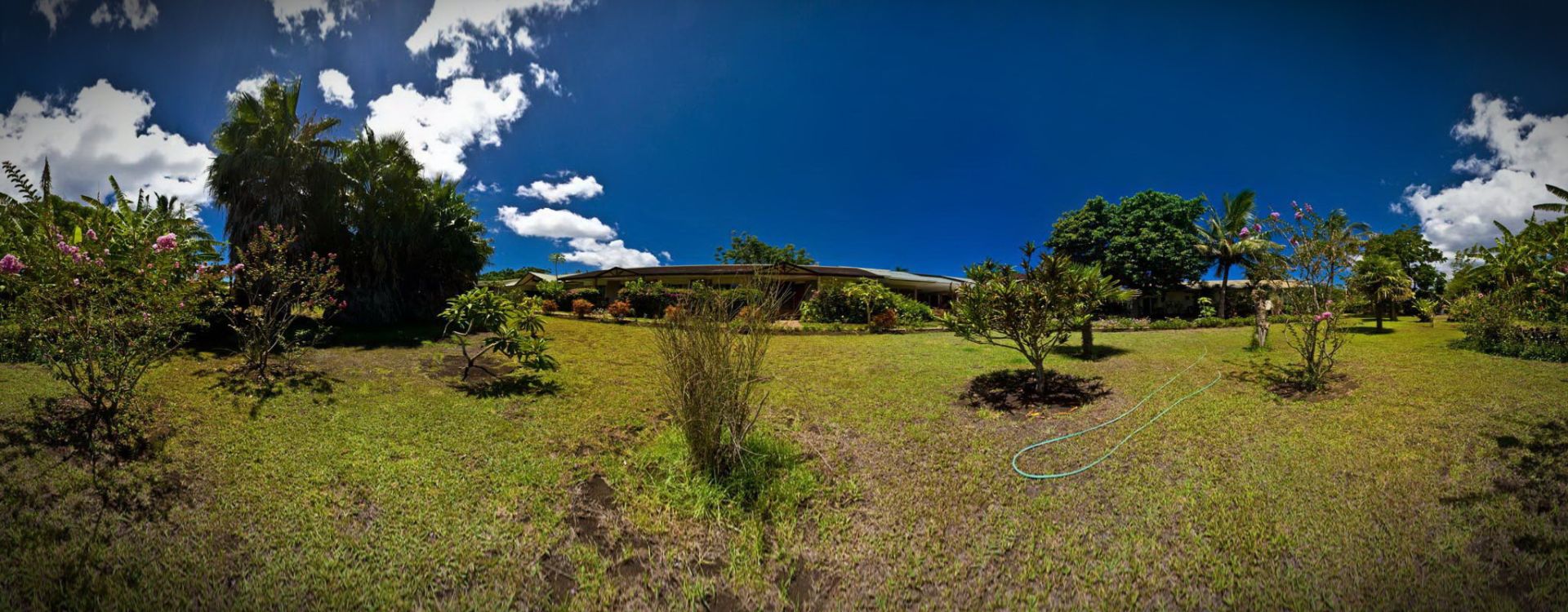 Hotel Otai : The Garden