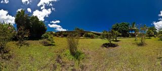 Hotel Otai : The Garden